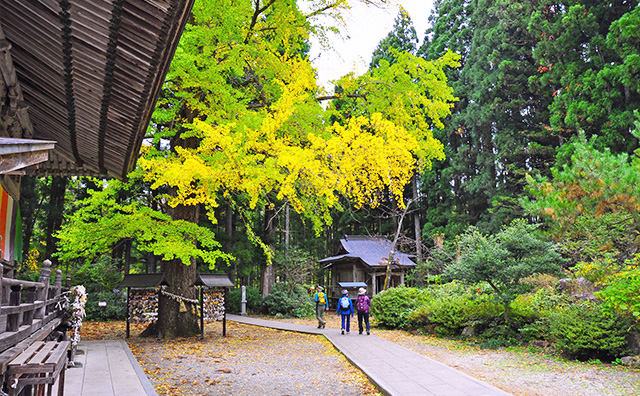 仙台の奥座敷、秋保温泉を存分に楽しもうのイメージ
