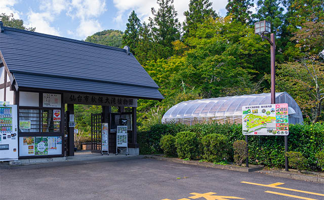 秋保大滝植物園