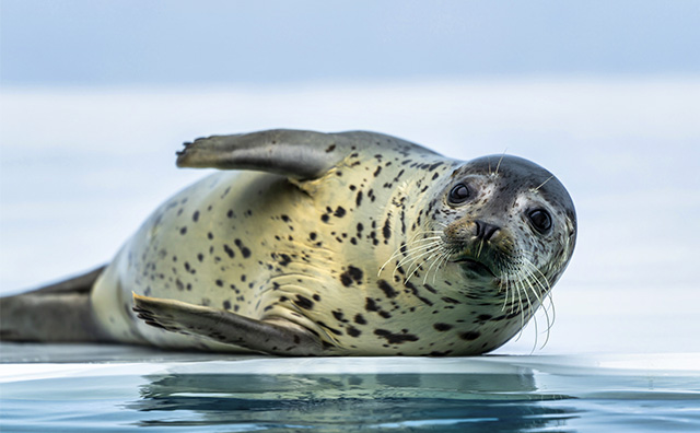 加茂水族館のイメージ