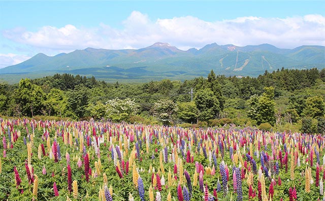 那須連山のイメージ