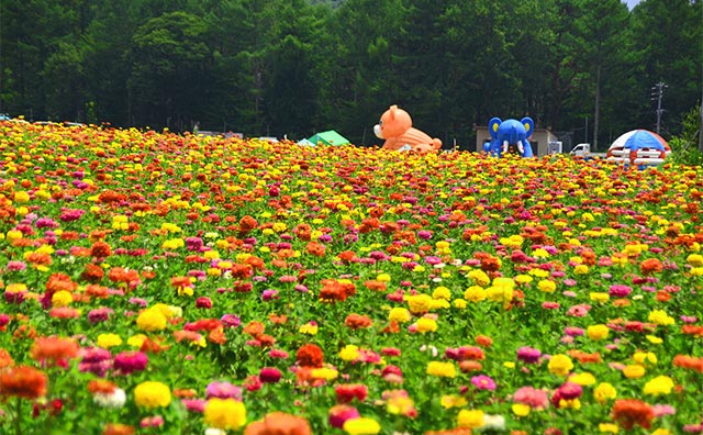 富士見高原リゾート 花の里のイメージ