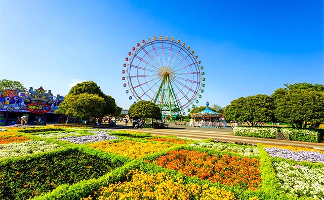 国営ひたち海浜公園のイメージ