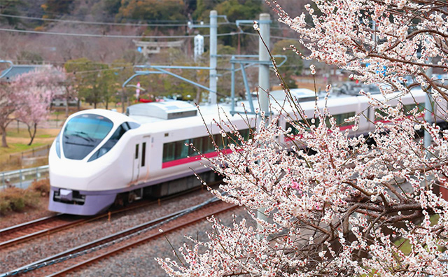 東京から近場の旅行でおすすめのスポットを紹介！明日すぐ行って楽しい思い出を！