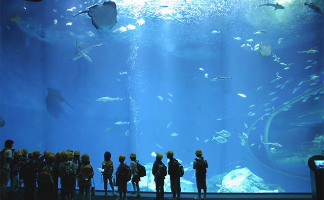 アクアワールド茨城県大洗水族館のイメージ