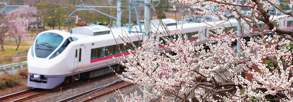 東京から近場の旅行でおすすめのスポットを紹介！明日すぐ行って楽しい思い出を！のイメージ