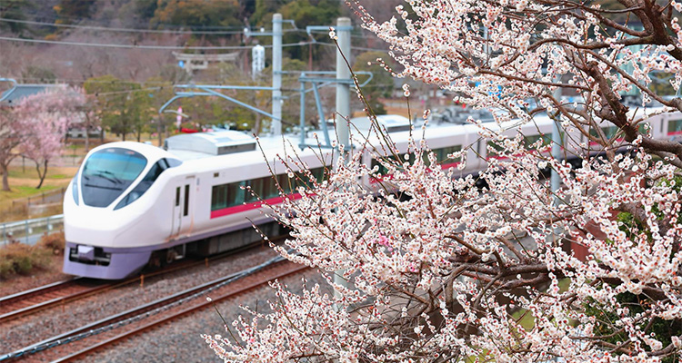 東京から近場の旅行でおすすめのスポットを紹介！明日すぐ行って楽しい思い出を！のイメージ