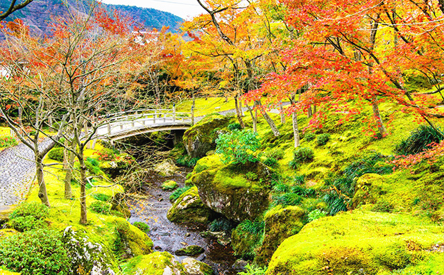 強羅温泉 箱根美術館のイメージ