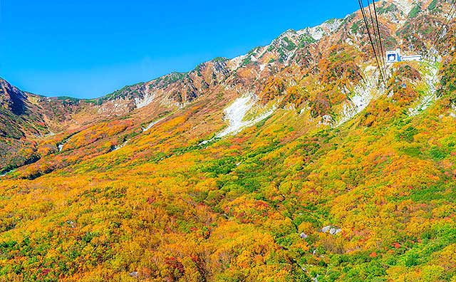 大観峰のイメージ