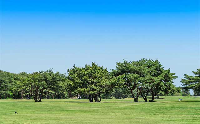 ひたち海浜公園の基本情報のイメージ