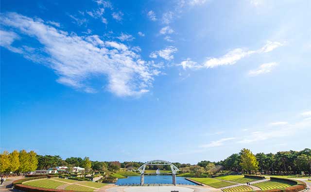 ひたち海浜公園の概要のイメージ