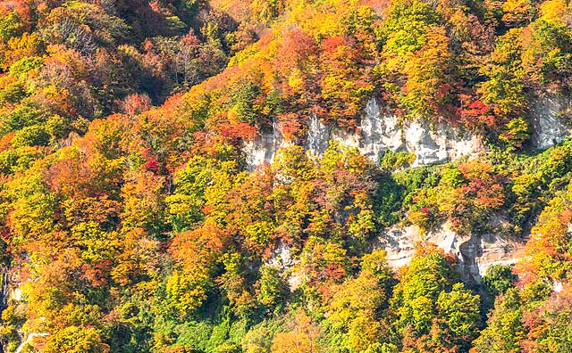 白神山地へ観光に行くならここ！知っておきたいおすすめのスポットを紹介