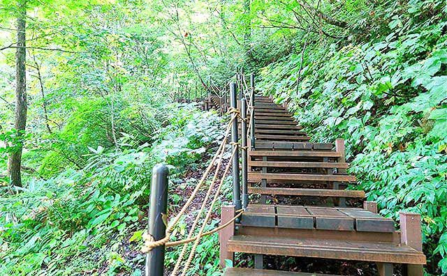 白神山地のおすすめのスポットを紹介のイメージ