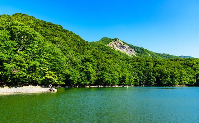 鶏頭場の池のイメージ