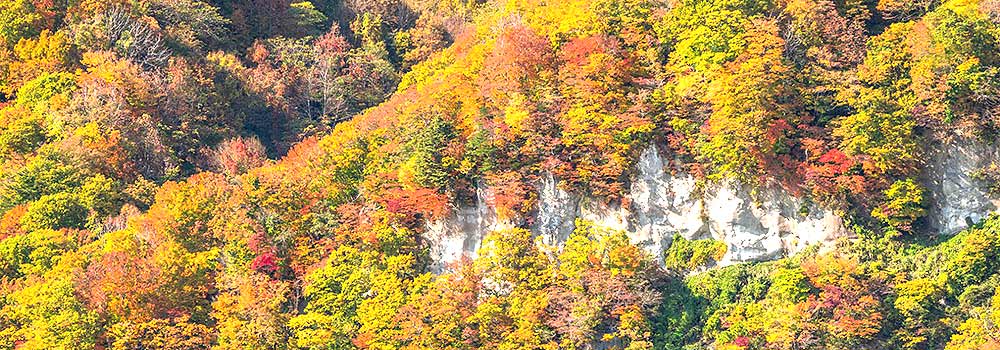 白神山地へ観光に行くならここ！知っておきたいおすすめのスポットを紹介のイメージ