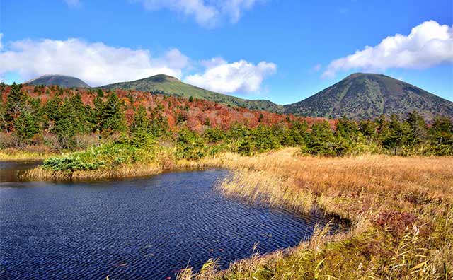 青森の紅葉スポットには新幹線で行こう！大自然の迫力ある名所を紹介