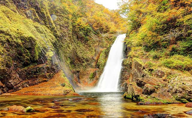 豪快な滝と鮮やかに色づく紅葉のコントラストが圧巻の「秋保大滝」のイメージ