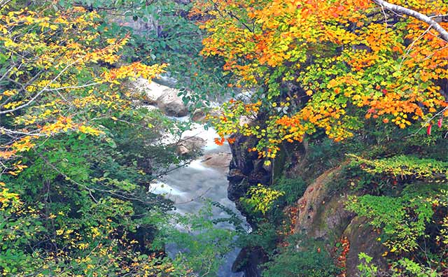 地元の方に愛される紅葉の名所「磊々峡」のイメージ