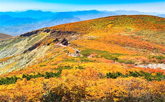 紅葉が一面に広がる「栗駒山」のイメージ