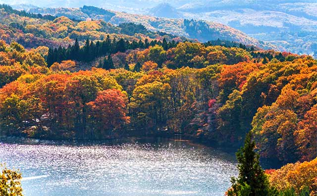 静かに落ち着いて紅葉を楽しめる「長老湖」のイメージ