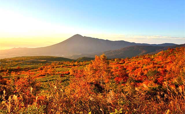 岩手の紅葉スポットには新幹線で行こう！秋がもっと楽しくなるおすすめの場所を紹介の記事イメージ