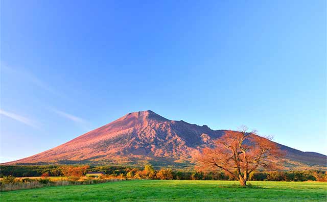 道路沿いのきれいな紅葉が楽しめる「八幡平」のイメージ