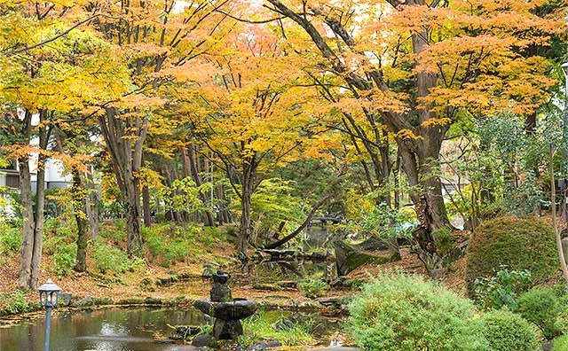 歴史ある雰囲気とともに紅色のモミジやカエデを味わえる「盛岡城跡公園」のイメージ