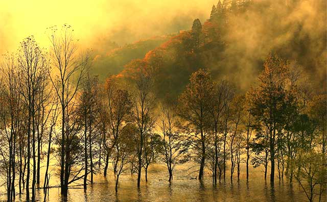 散策でもサイクリングでも紅葉鑑賞できる「錦秋湖」のイメージ