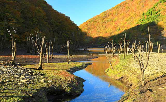 絵の具で描いたような紅葉の色どりが心に残る「仙人峠」のイメージ