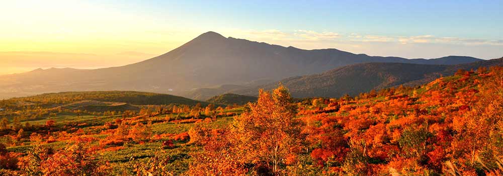 岩手の紅葉スポットには新幹線で行こう！秋がもっと楽しくなるおすすめの場所を紹のイメージ