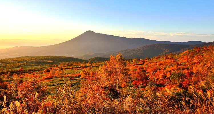 岩手の紅葉スポットには新幹線で行こう！秋がもっと楽しくなるおすすめの場所を紹のイメージ