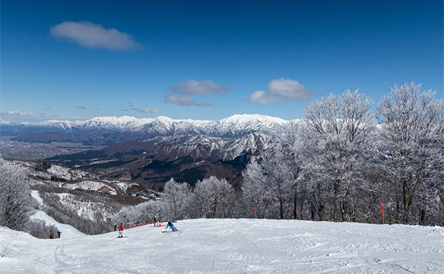 GALA湯沢スキー場のイメージ