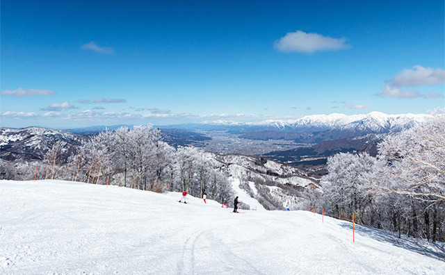 新潟のおすすめスキー場を紹介！新幹線でのアクセス抜群！コースの特徴や魅力も合わせてチェックしよう！