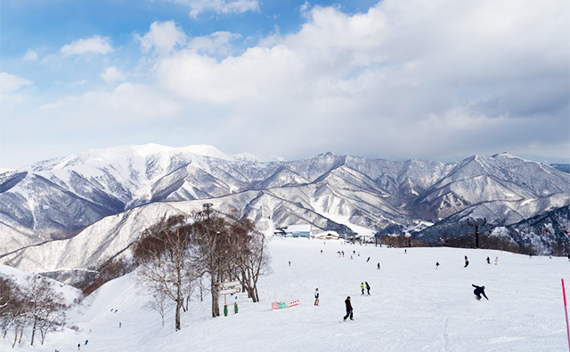 苗場スキー場のイメージ