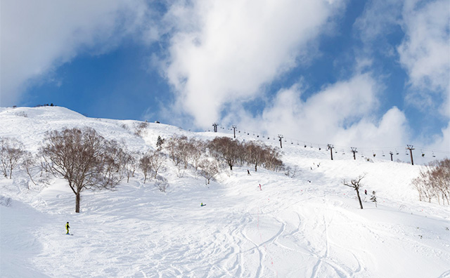 苗場スキー場のイメージ