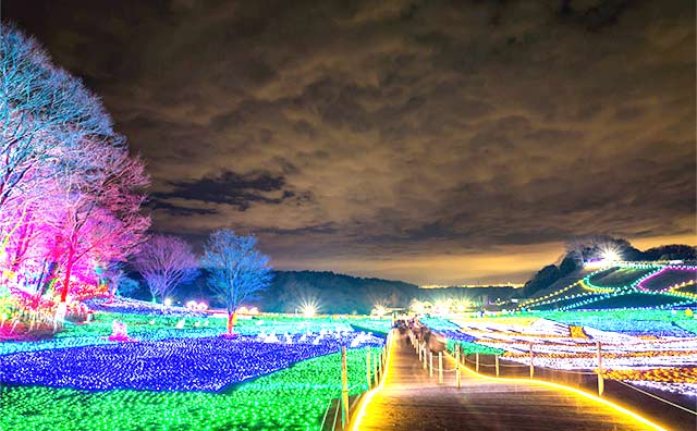 東京ドイツ村のイメージ