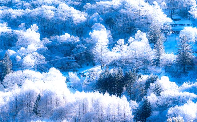 おすすめの甲信越の冬の絶景のイメージ