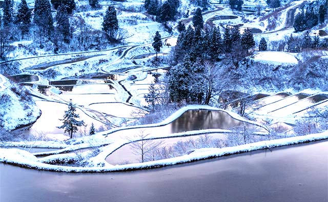 星峠の棚田（新潟県）のイメージ