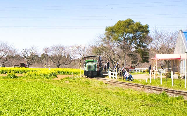 お花畑をめぐるトロッコ列車＜のイメージ