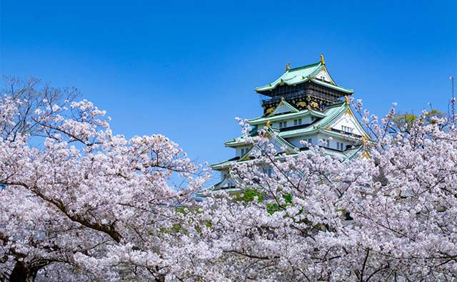 大阪の桜の名所が知りたい！春の風物詩は人気スポットとセットで楽しもう