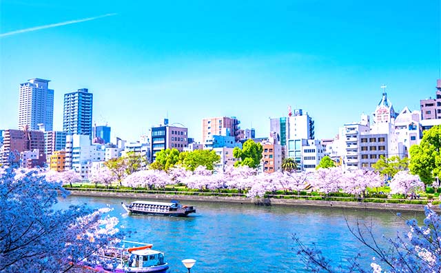 【おすすめ】大阪の桜の名所のイメージ