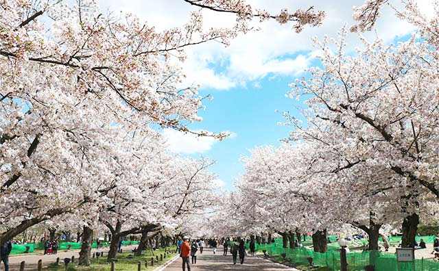 万博記念公園のイメージ