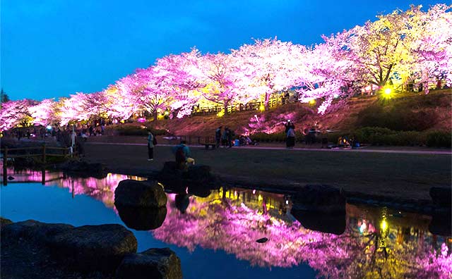 打上川治水緑地のイメージ