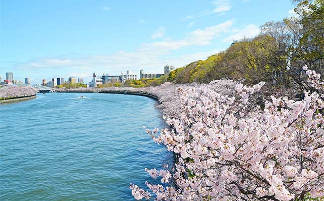 毛馬桜之宮公園のイメージ