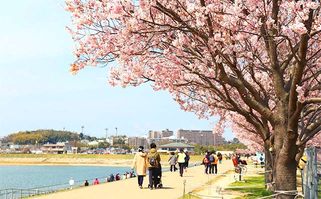 狭山池公園のイメージ