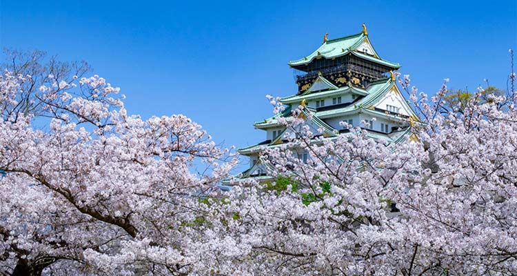 大阪の桜の名所が知りたい！春の風物詩は人気スポットとセットで楽し