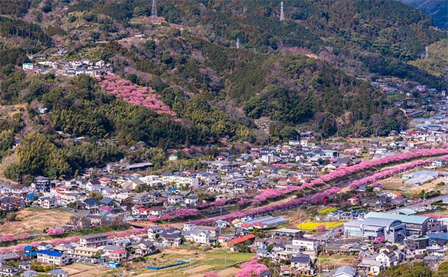 河津城跡公園のイメージ