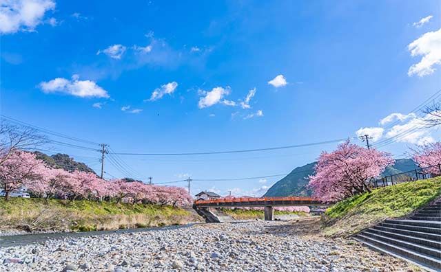 豊泉橋のイメージ