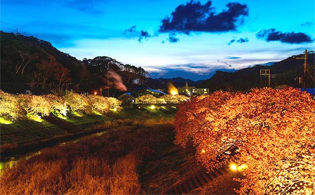 青野川のイメージ