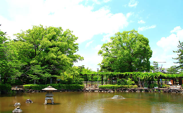 中村公園