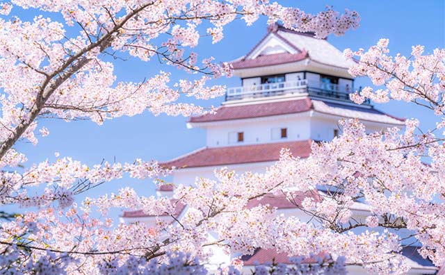 東北には桜の名所が数多く存在するのイメージ